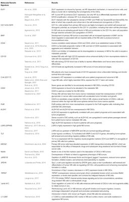 Cancer Stem Cells in Neuroblastoma: Expanding the Therapeutic Frontier